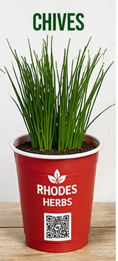 Chives