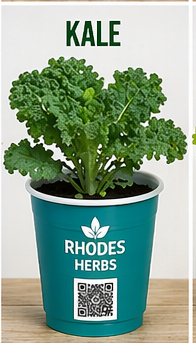 Kale Starts